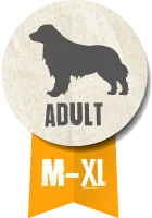 Belcando Adult Dinner