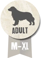 Belcando Adult Agnello e Riso