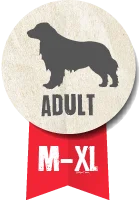 Belcando Adult Power