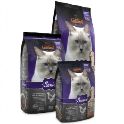 Leonardo Senior | AlanDog