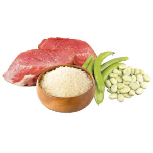 Unica Natura Agnello Riso e Favini UNICO MAXI - Gheda pet food - Foto 1 | AlanDog