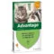 Advantage Spot-On 4 Pipette Gatti e Conigli Minore 4 kg | AlanDog