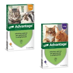 Advantage Spot-On 4 Pipette Gatti e Conigli Maggiore 4 kg
