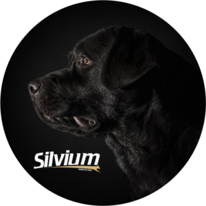 silvium