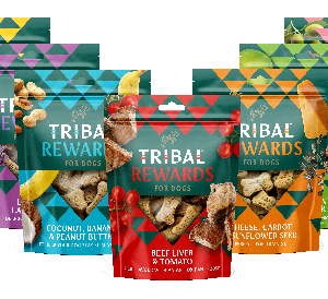 Tribal Biscotti con Tonno e Olio di Oliva - Foto 1 | AlanDog