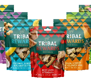 Tribal Biscotti con Tonno e Olio di Oliva - Foto 1 | AlanDog