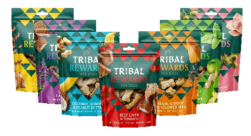 Tribal Biscotti con Tonno e Olio di Oliva - Foto 1 | AlanDog
