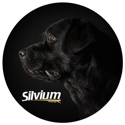 Silvium Adult Crocchette per Cani - Dagel - Foto 1 | AlanDog
