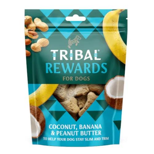 tribal-biscotti-cocco-banana-arachidi Tribal Biscotti con Cocco Banana e Burro D’arachidi | AlanDog