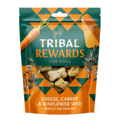 tribal biscotti formaggio carote e girasole