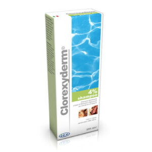 clorexider shampoo 4 250 ml