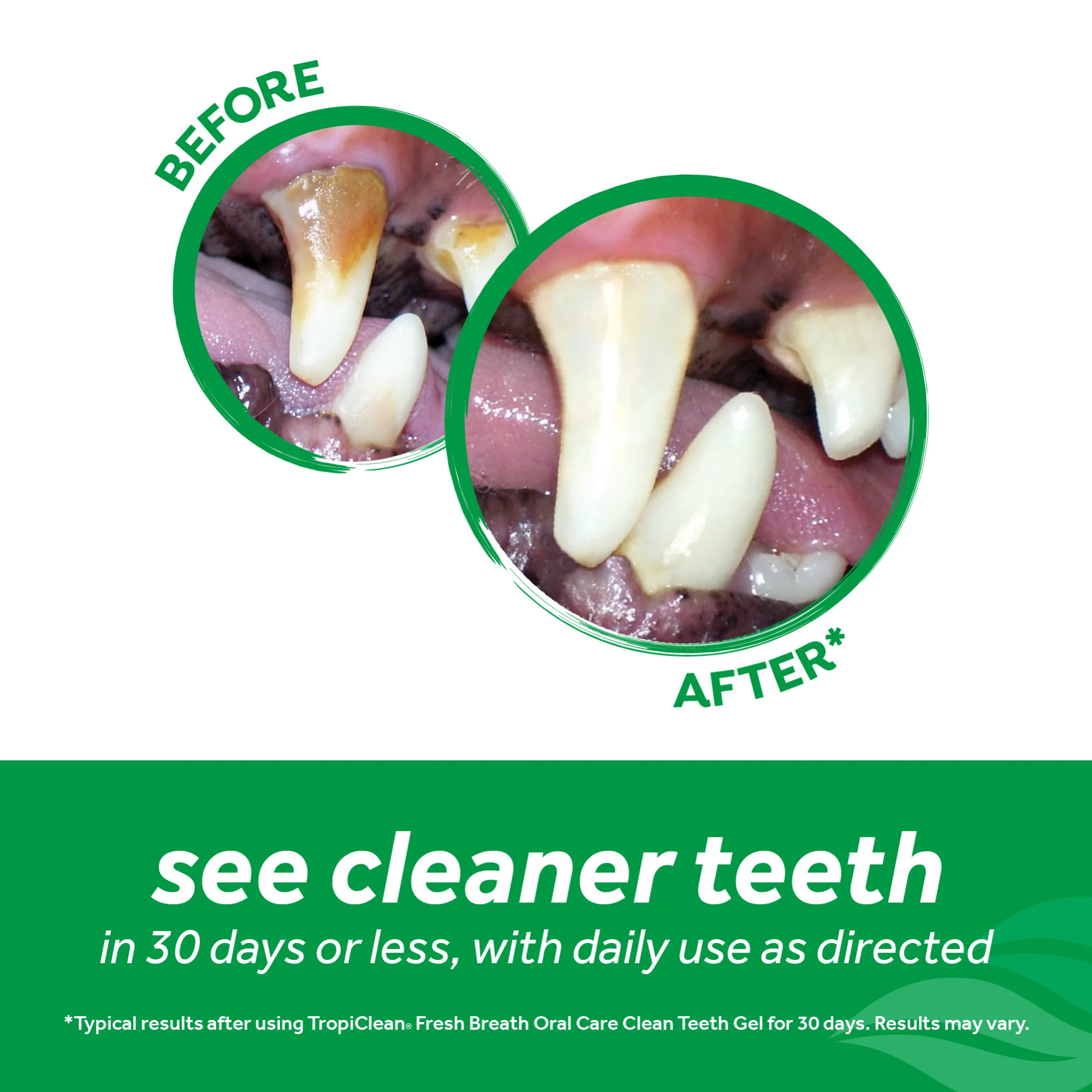tropiclean-fresh-breath-gel-dentale-4 TropiClean Gel per l’igiene Dentale - Foto 6 | AlanDog