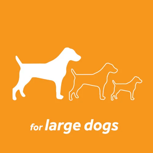 tropiclean-kit-igiene-orale-large-dog-6 TropiClean Kit Igiene Orale Large Dog - Foto 8 | AlanDog