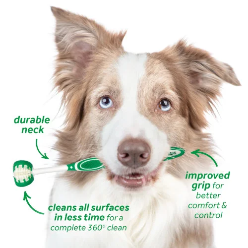 TropiClean Kit Igiene Orale Large Dog - Foto 5 | AlanDog
