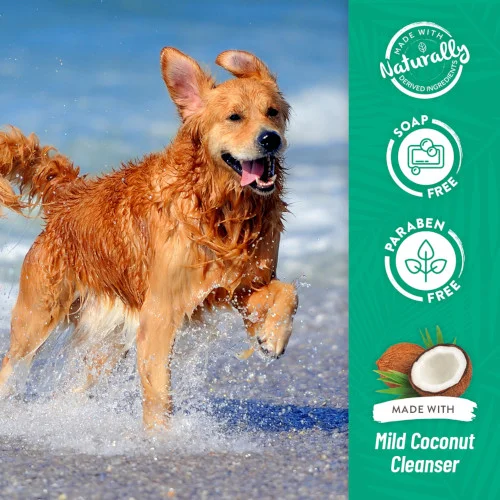 TropiClean Shampoo Anti Prurito Medicato con Cocco e Avena - Foto 4 | AlanDog