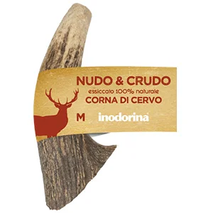 Corna di cervo per cani - Inodorina - Foto 3 | AlanDog