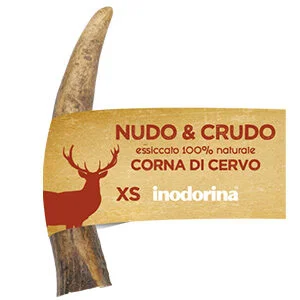 Corna di cervo per cani - Inodorina | AlanDog
