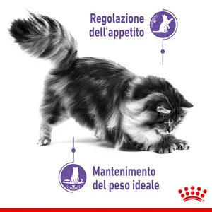 Royal Canin FCN Appetite Control Care Gatto - Foto 3 | AlanDog