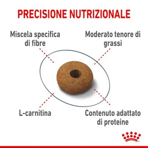 Royal Canin FCN Appetite Control Care Gatto - Foto 5 | AlanDog