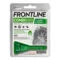 Frontline Combo per Gattini Spot On | AlanDog