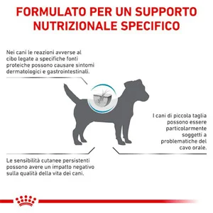 Royal Canin Anallergenic Small Dog - Foto 5 | AlanDog