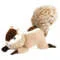 Trixie Peluche per Cani Scoiattolo | AlanDog
