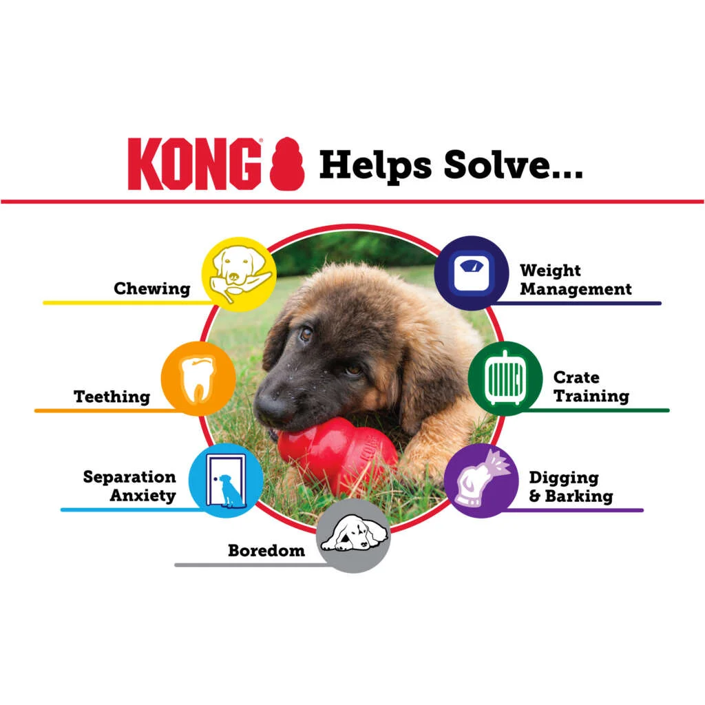Kong Classic per Cani