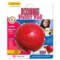 Kong Biscuit Ball Small Cane | AlanDog