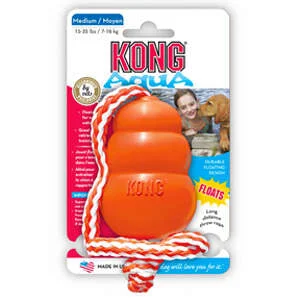 Kong Cane Aqua Medium | AlanDog