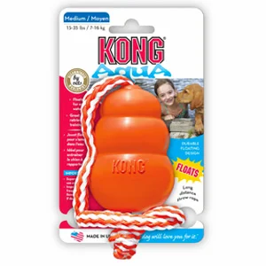 Kong Cane Aqua Medium | AlanDog