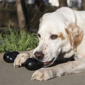 Kong Extreme Goodie Bone per Cani - Foto 6 | AlanDog