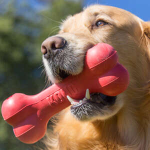 Kong Goodie Bone per Cani - Foto 1 | AlanDog