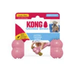 Kong Small Puppy Goodie Bone