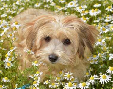 consigli utili per passeggiate fuori porta