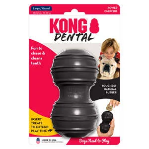 Kong Cane Extreme Dental Large | AlanDog