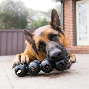 Kong Cane Extreme Goodie Ribbon - Foto 1 | AlanDog
