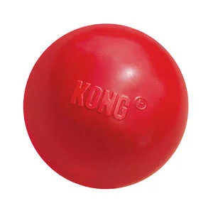 Kong Cane Palla con Buco | AlanDog