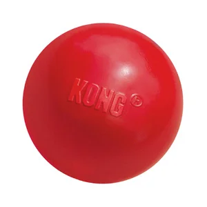 Kong Cane Palla con Buco | AlanDog