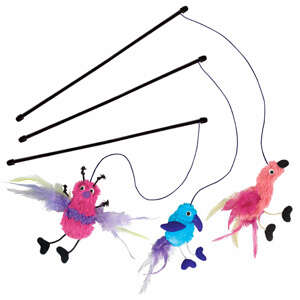 Kong Gatto Feather Teaser