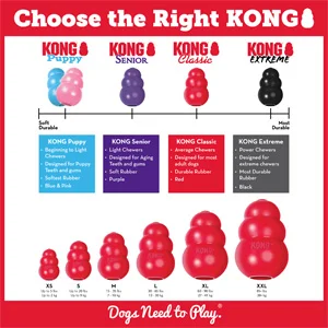 Kong Classic per Cani - Foto 11 | AlanDog