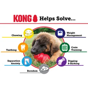 Kong Classic per Cani - Foto 8 | AlanDog