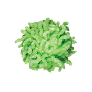 Kong Gatto Moppy Ball - Foto 1 | AlanDog