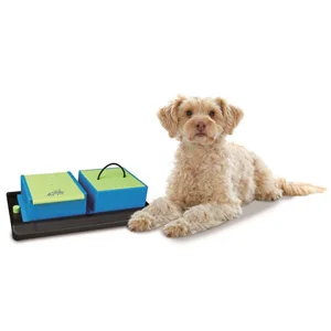 Trixie Poker Box Vario 1 Gioco strategico Cane Activity - Foto 3 | AlanDog