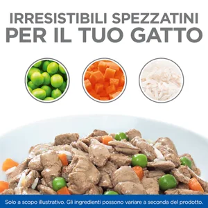 hills-gattino-box-pesce-e-pollo-visual-1 Hill’s Science Plan Kitten Healthy Cuisine con Pollo e Pesce Oceanico e Verdure - Hill's - Foto 2 | AlanDog