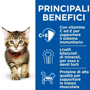 hills-gattino-box-pesce-e-pollo-visual-2 Hill’s Science Plan Kitten Healthy Cuisine con Pollo e Pesce Oceanico e Verdure - Hill's - Foto 3 | AlanDog