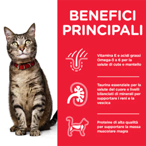 Hill’s Science Plan Gatto Adult Bustine Pesce Oceanico - Hill's - Foto 1 | AlanDog