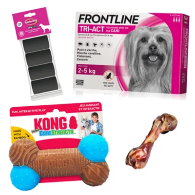 Kit Cane da 2 a 5 kg | AlanDog