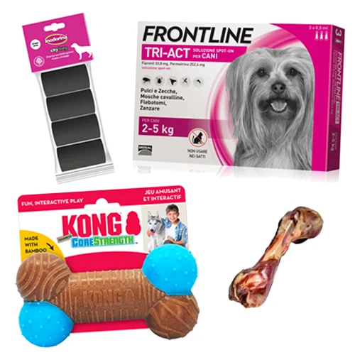 Kit Cane da 2 a 5 kg | AlanDog