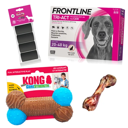 Kit Cane da 20 a 40 kg | AlanDog