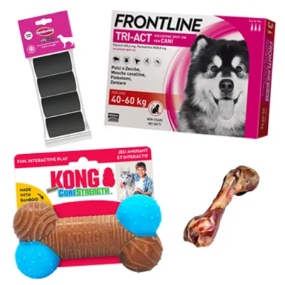 Kit Cane da 40 a 60 kg | AlanDog